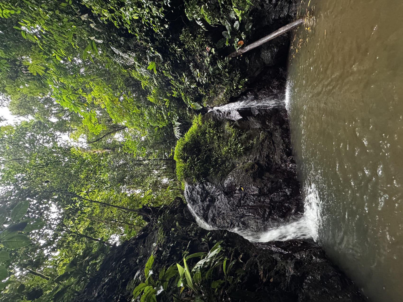 Cascada del Amor cayendo entre rocas cubiertas de musgo en la selva