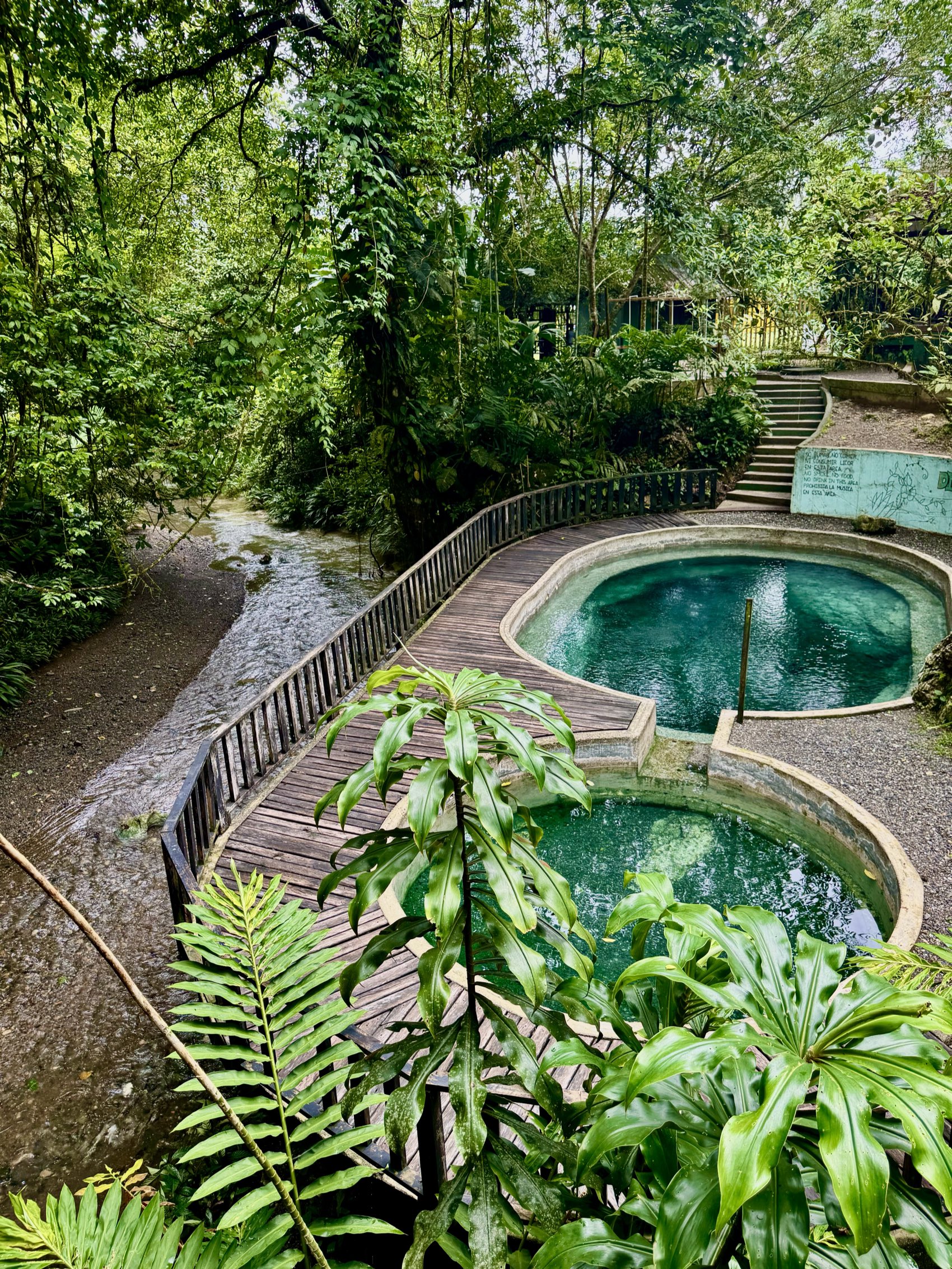 Piscinas de aguas termales rodeadas de selva junto a un río en Termales, Nuquí
