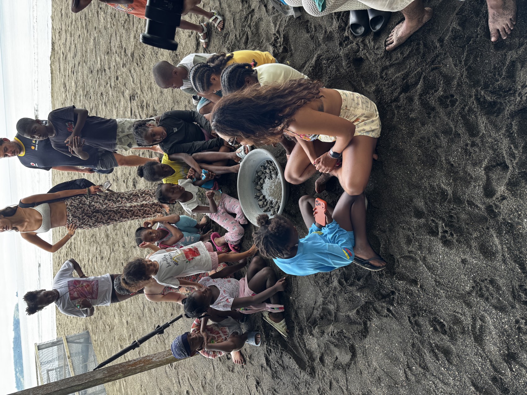 Niños liberando tortugas bebé en la playa